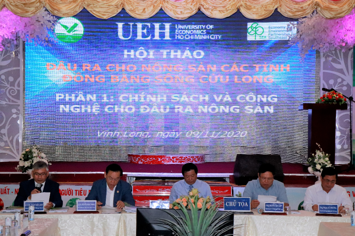 cá cược thể thao hul city